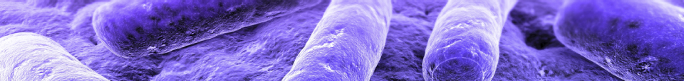 Mantenimiento Banner Mantenimiento Banner